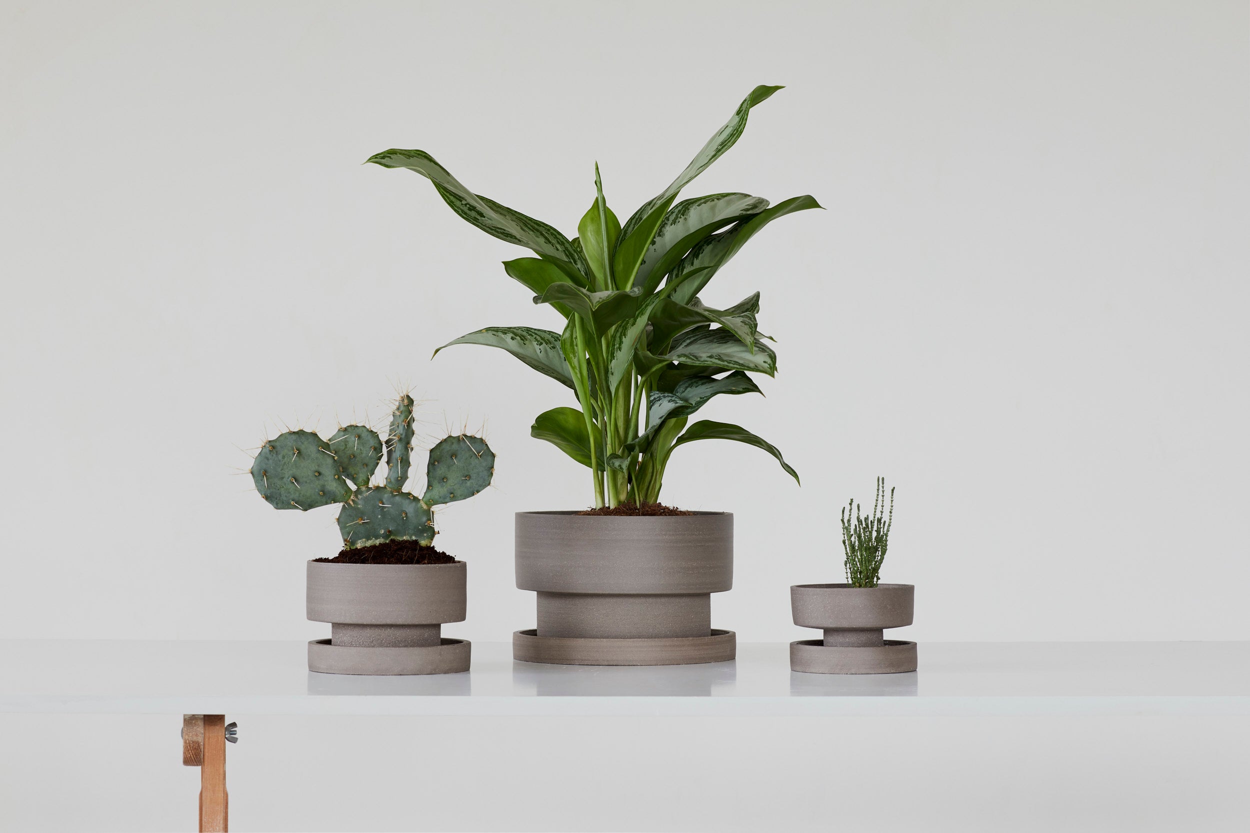 Flower pot - gray