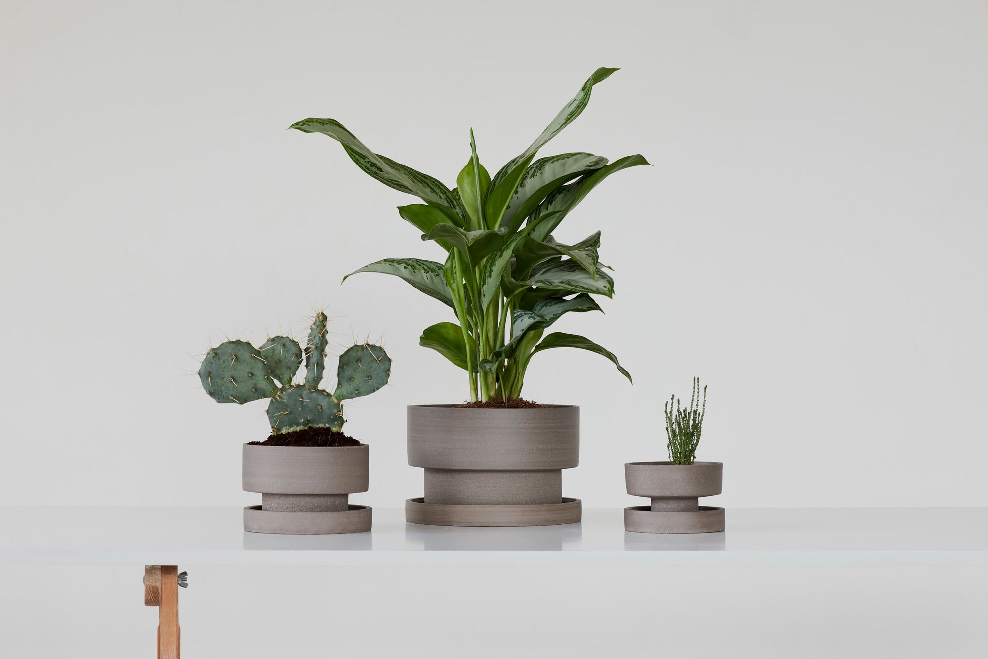 Flower pot - gray