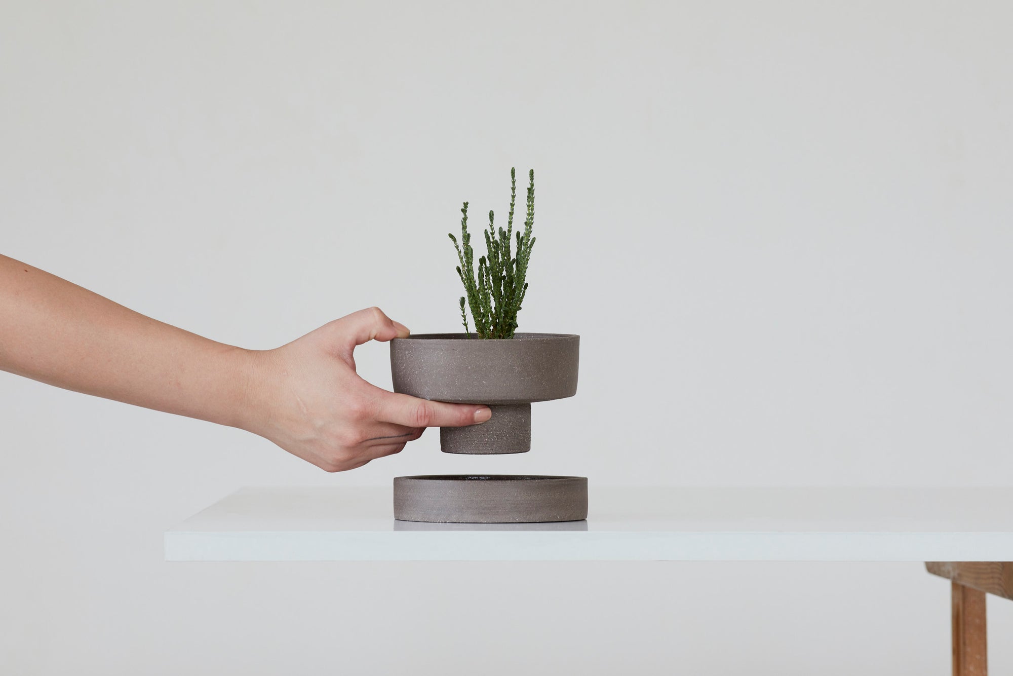 Flower pot - gray