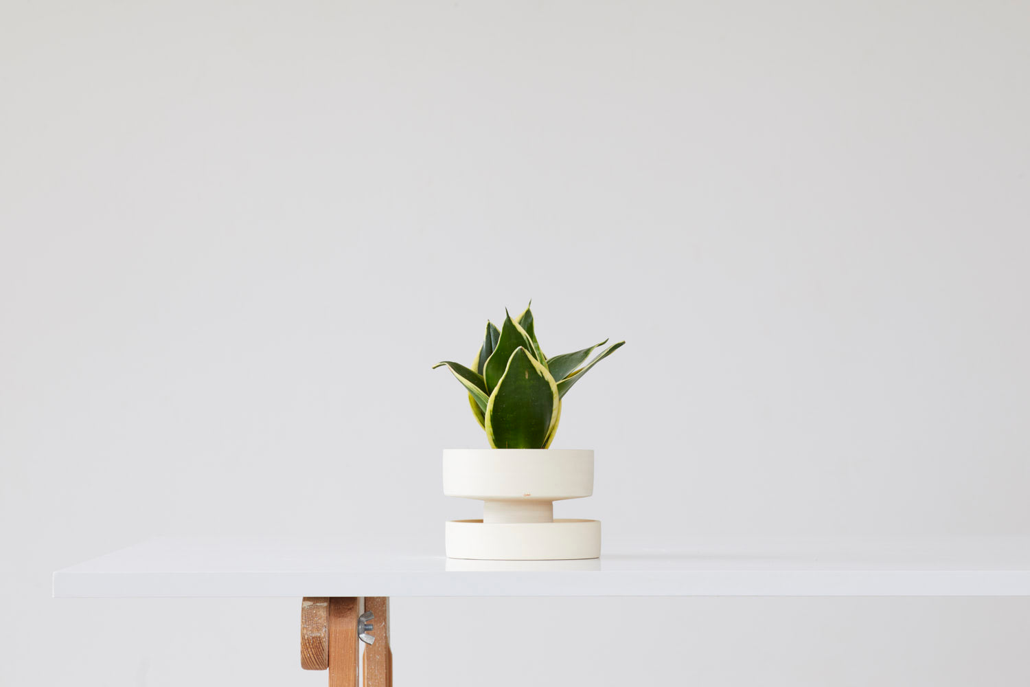 Flower pot - cream