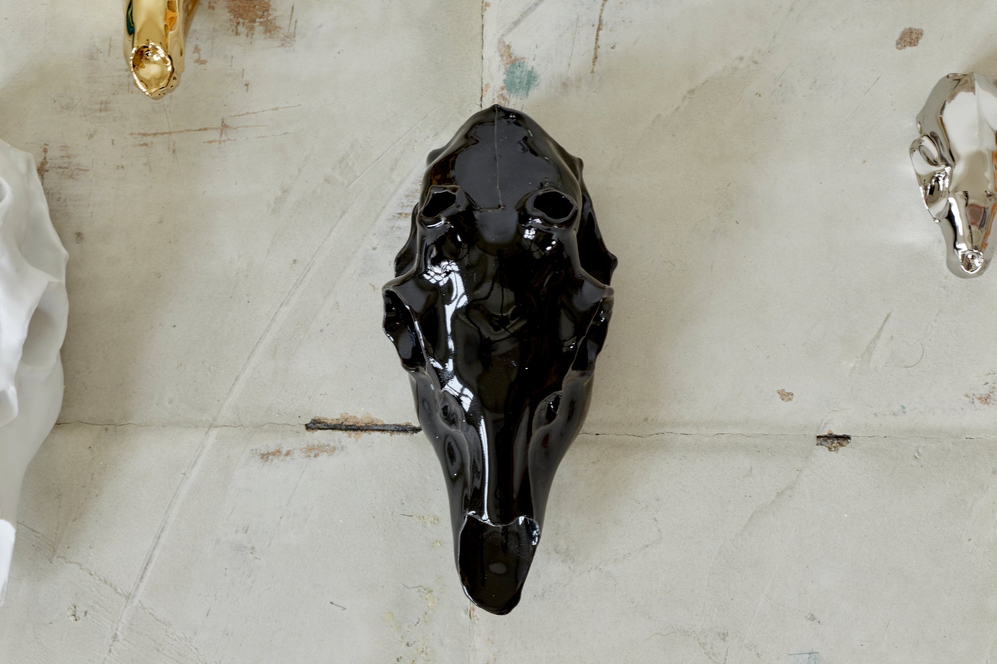 Black skull, deer