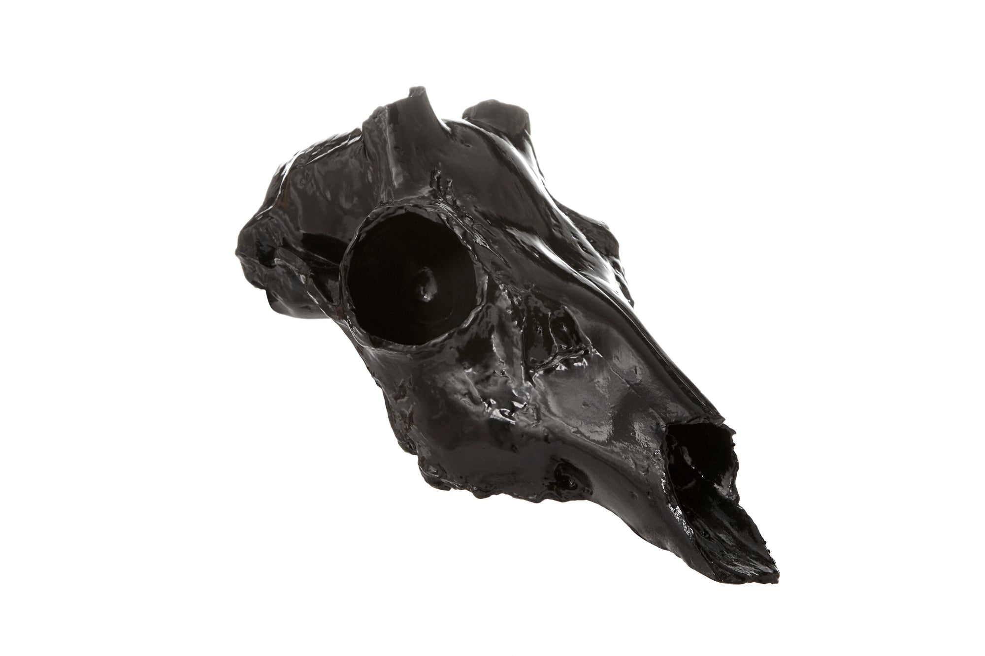 Black skull, deer